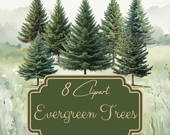 Forest Tree Clipart, Evergreen PNG, Watercolor Pine, Mountain Nature, Sublimation Design, Digital Download, Commercial Use, CC337