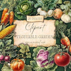 clipart de jardin potager, lot de png végétariens vintage, art culinaire rustique, éphémères de jardin imprimables, autocollant de journal indésirable, usage commercial, cc337