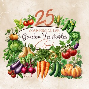 Peut inclure: Une collection de 25 illustrations dessinées à la main de légumes de jardin, y compris des carottes, des citrouilles, des concombres, des tomates et des aubergines. Les illustrations sont de style vintage et sont parfaites pour une utilisation dans des projets commerciaux.