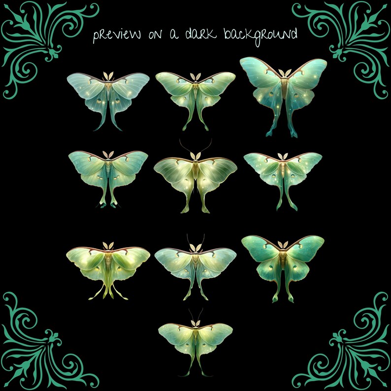 Luna Moth Clipart: Glowing Green Celestial Insects (PNG Download ...