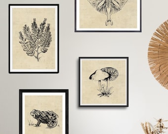 Vintage Mystic Collage Wall Art Prints: Botanical, Entomology (Digital Download)