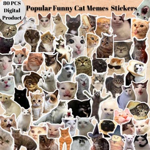 80 Popular Funny Cat Stickers, Digital funny cat memes, Viral funny cats, PNG Images and Stickers
