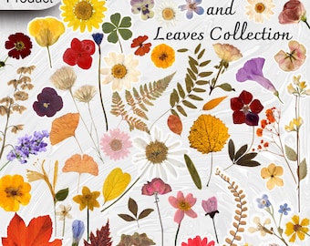 Dried Pressed Flowers & Leaves Cliparts: Botanical PNG (Digital Download)