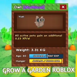 Grow A Garden Owl Pet