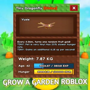 Grow A Garden Tiny Dragonfly Pet