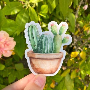 Pegatina transparente de cactus, 2,6 x 3 pulgadas