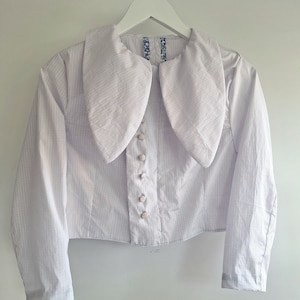 May include: A white, cropped blouse with a large, rounded collar. The blouse has a subtle grid pattern and is buttoned down the front with four small, round buttons. The collar's interior features a blue floral design. The blouse hangs on a white hanger.