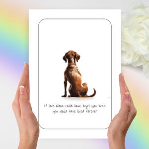 Beileidskarte Deutscher Pointer, Beileid Karte, Beileid Karte, Beileid, Beileid, Beileid, Beileid, Beileid, Beileid, Beileid, Beileid, Beileid, Beileid, Beileid, Beileid, Beileid, Beileid