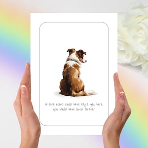 Carte de sympathie border collie, carte de condoléances border collie, cadeau border collie, carte de sympathie pour animal de compagnie, cadeau de deuil pour animal de compagnie, carte de sympathie pour chien, chien