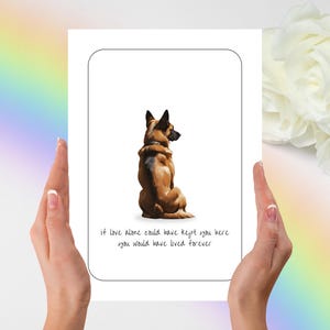Carte de condoléances malinois belge, carte de condoléances pour animal de compagnie, carte pliée, cadeau pour animal de compagnie, sympathie, cadeau de condoléances, carte de deuil, malinois belge, chien