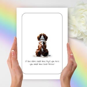 Bretagne Beileid Karte, Bretagne Hundekarte, Bretagne Beileid Karte, Bretagne Hund Geschenk, Haustier Sympathie Karte, personalisierte Hundekarte, Haustier-Liebhaber