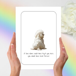 Bichon Frise Beileid Karte, Haustier Beileid Karte, Gefaltete Karte, Haustier Geschenk, Beileid Karte, Beileid Geschenk, Bichon Frise, Beileid Karte