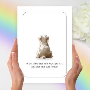 Beileidskarte, maltesischer Beileid, maltesischer Beileid, personalisiertes Hundegeschenk, maltesischer Hund, Haustier Beileid, maltesischer Beileid, Hund