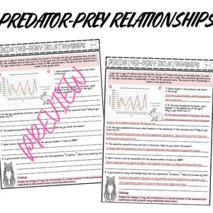 Può includere: Un foglio di lavoro in bianco e nero con il titolo "Relazioni predatore-preda". Il foglio di lavoro include un grafico che mostra le curve di crescita della popolazione della lince e della lepre delle nevi nel tempo. Il foglio di lavoro include domande sulla relazione tra le due specie.