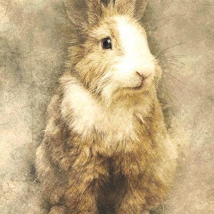 Rabbit cross stitch pattern, digital pattern, full cross stitch pattern, pdf cross stitch pattern