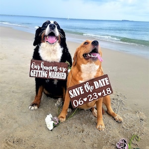Free Shipping,Our Humans Are Getting Married Wood Signs,Pet Save the Date Sign,I loved her first,Dog Neck Ware, Save the Date Photo Prop image 4