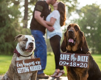 Free Shipping!,Our Humans Are Getting Married Wood Signs,Pet Save the Date Sign,I loved her first,Dog Neck Ware, Save the Date Photo Prop