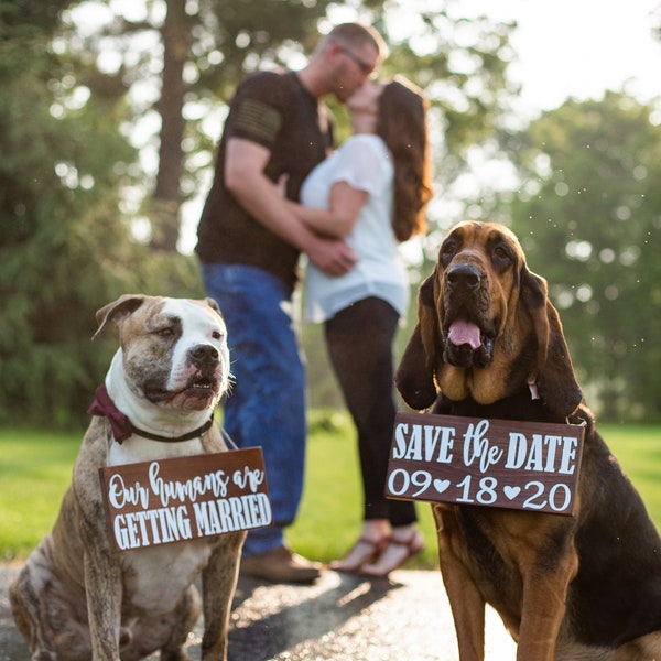 Free Shipping!,Our Humans Are Getting Married Wood Signs,Pet Save the Date Sign,I loved her first,Dog Neck Ware, Save the Date Photo Prop