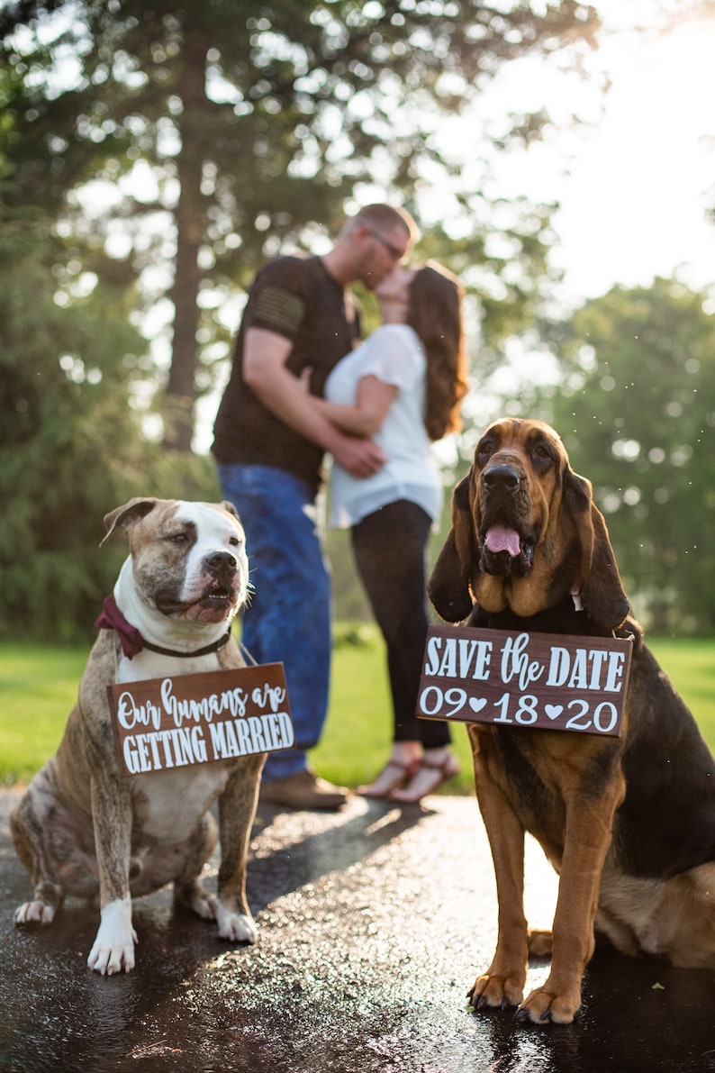 Free Shipping,Our Humans Are Getting Married Wood Signs,Pet Save the Date Sign,I loved her first,Dog Neck Ware, Save the Date Photo Prop image 1