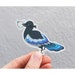 Cute Magpie Thief Sticker | Vinyl Sticker | Phone Sticker | Laptop ...