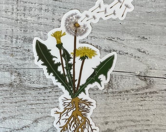 Dandelion Sticker, Die Cut Sticker, Nature Lover, Flower, Computer Sticker, Water Bottle Sticker, Southwest, Dishwasher Safe, Weatherproof