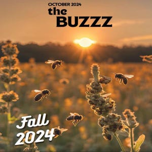 Peut inclure: Photographie d'abeilles en vol au-dessus d'un champ de fleurs sauvages au coucher du soleil. Le texte "October 2024 the BUZZZ" et "Fall 2024" est inclus dans une police stylisée, sur un fond chaud.