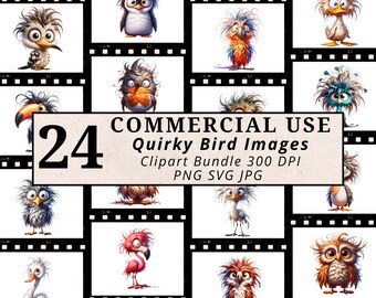 Whimsical Birds Clipart Bundle, 24 Quirky Bird Images in PNG JPG and SVG, Commercial Use, Perfect for Wall Art, T-Shirts, Planners and more