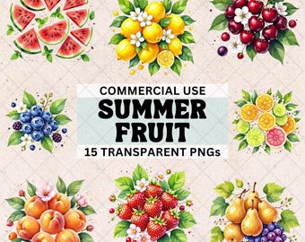 Aquarell Obst Clipart: Sommer Citrus PNG Bundle (Digitaler Download)