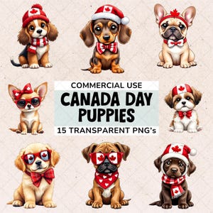 May include: A selection of charming puppy illustrations, each decorated with Canada Day themed accessories. The puppies are wearing hats, bow ties, scarves, and glasses with maple leaf designs. The text "CANADA DAY PUPPIES" is displayed.