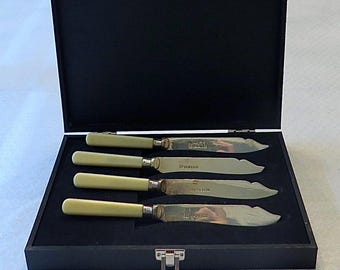 Cuchillos Art Déco vintage con mango de hueso plateado - Juego de 4 en estuche