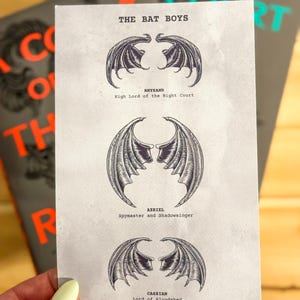 The Bat Boys | Rhysand, Cassian, and Azriel | A Court of Thorns and Roses Series