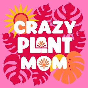 Plant Mom SVG Bundle - 10 lustige Pflanzen Zitate für Cricut, Silhouette & Vinyl Crafts