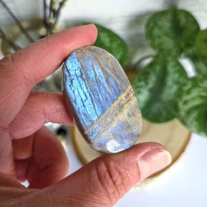 High-Grade Moonstone Palm Stone | Ultra Flashy Rare Moonstone | Blue Flash Moonstone – Genuine Crystal for Intuition, Healing & Lunar Energy