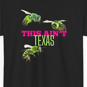 Cowboy Carter Tour Tshirt, Unisex Heavy Cotton Tee, Beyonce Knowles, Texas Hold 'Em, Music Concert Tee, Graphic Tee