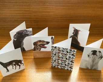 Set of 6 ASSORTED Greyhound Greeting Cards #5