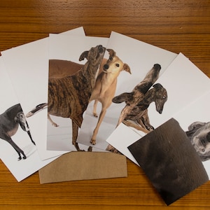 Set of 6 ASSORTED Greyhound Greeting Cards #2