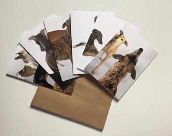 Set of 6 ASSORTED Greyhound Greeting Cards #1