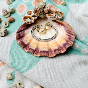 Seashell Jewelry Holder