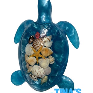 SeaShell Turtle Decor