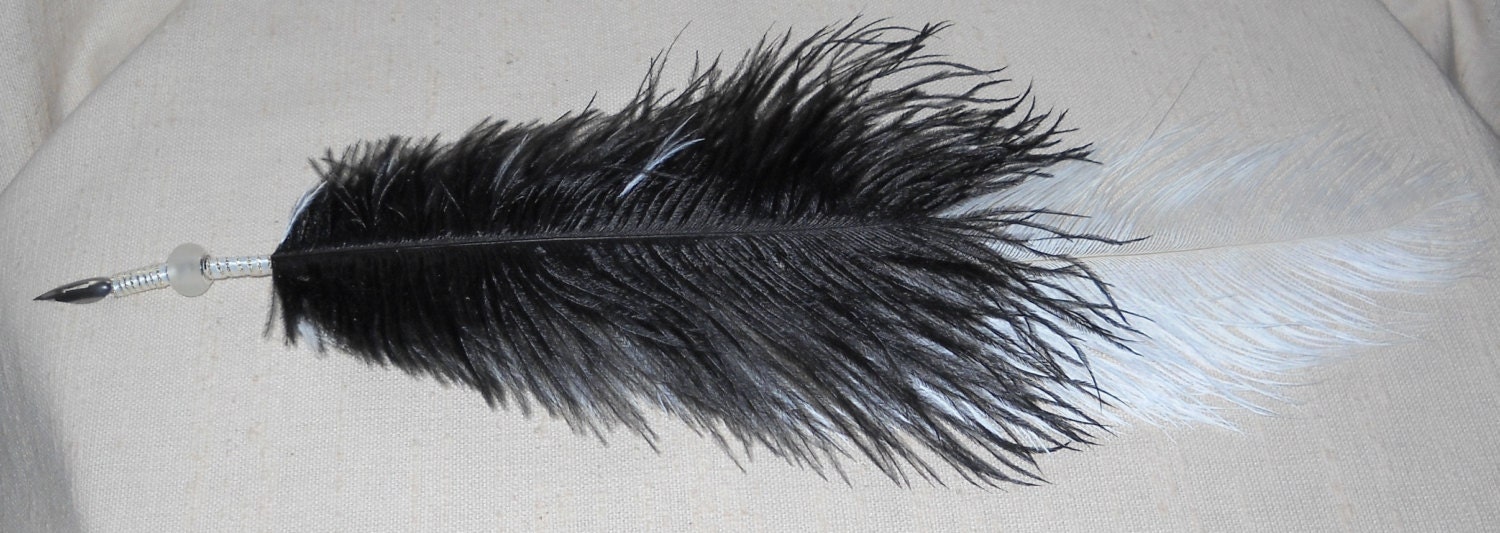 White Ostrich Feather Quill Pen – Objets d'Art & Spirit