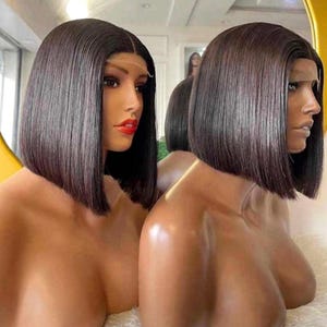Vietnamese Bone Straight Human Hair Wig: 2x6 Lace Front Closure