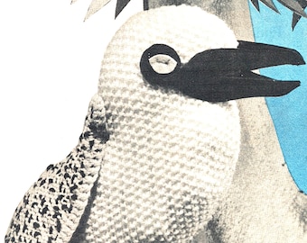 Kookaburra tricoté - Patron de tricot PDF - Kookaburra australien - Kookaburra