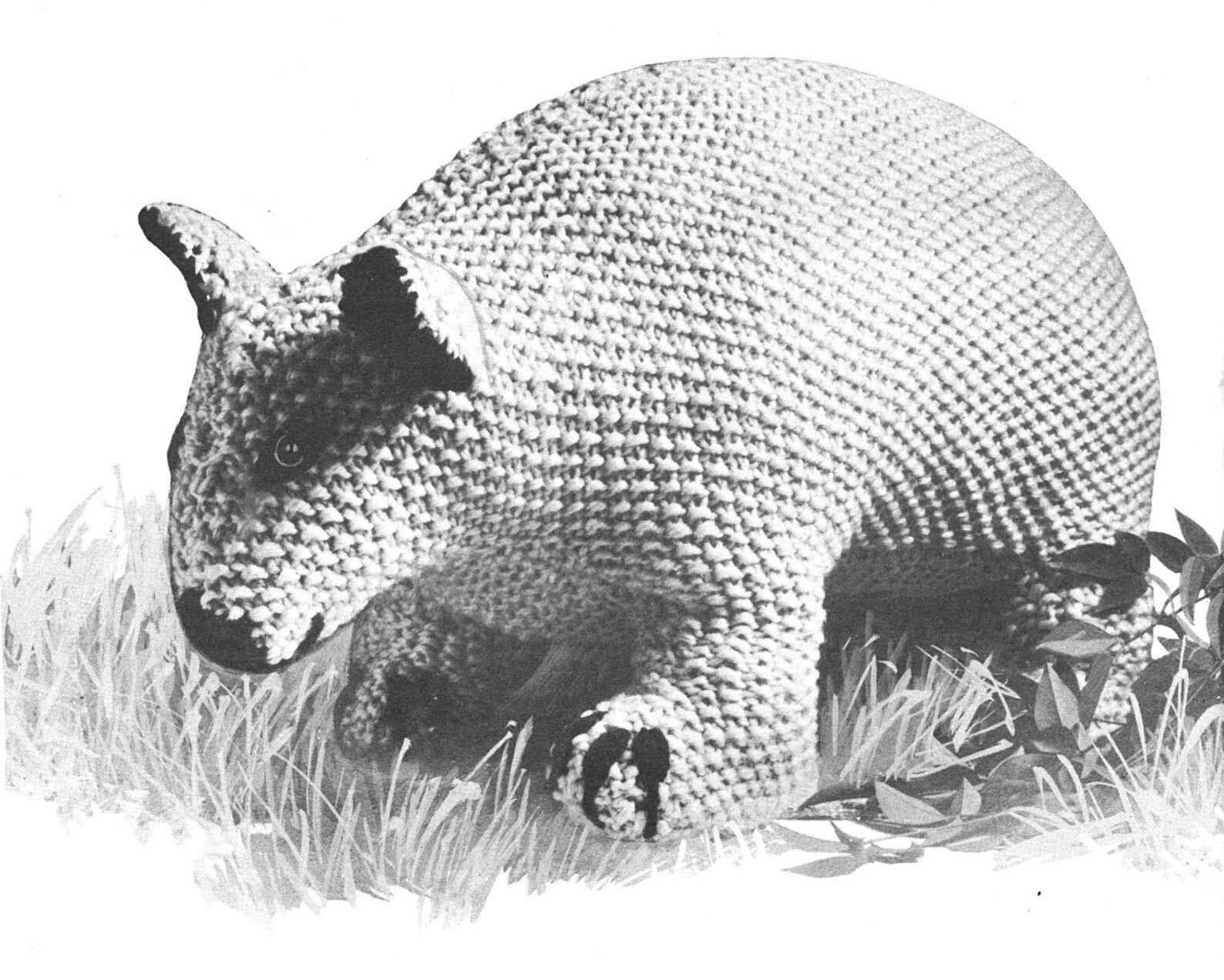 Knitted Wombat - PDF Knitting Pattern - Wombat - Australian Wombat - Etsy