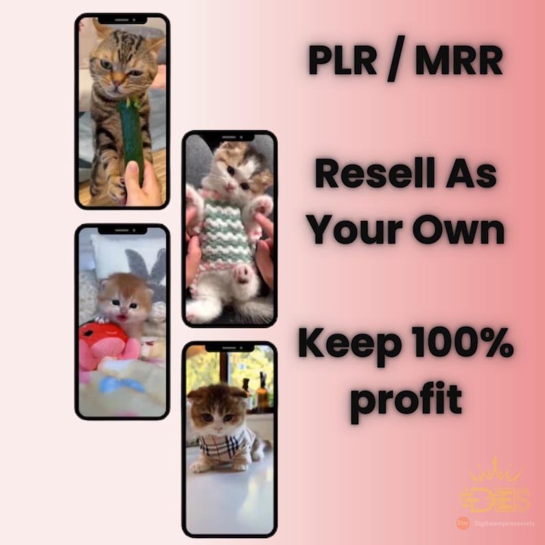 1300+ Cute Cat Video reels Template, Cat Reels Templates, TikTok, Instagram, YouTube Shorts, Viral Cat Reels bundle, Viral Templates PLR/MRR