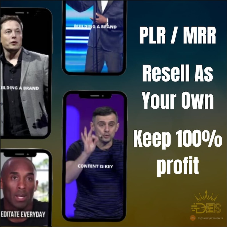 2500 Motivational Reels Videos TikTok, Instagram, YouTube Shorts, Viral Success Business Inspiration Reels bundle, Viral Templates PLR & MRR