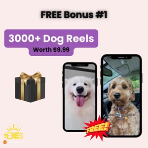 dog Video reels Template, PLR/MRR