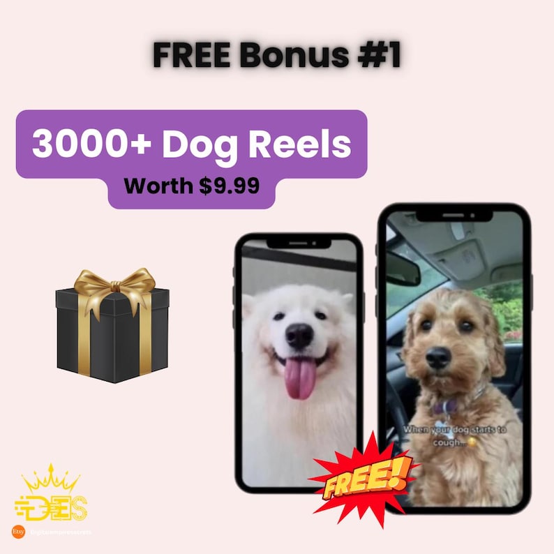 dog Video reels Template, PLR/MRR