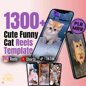 1300+ Cute Cat Video reels Template, Cat Reels Templates, TikTok, Instagram, YouTube Shorts, Viral Cat Reels bundle, Viral Templates PLR/MRR
