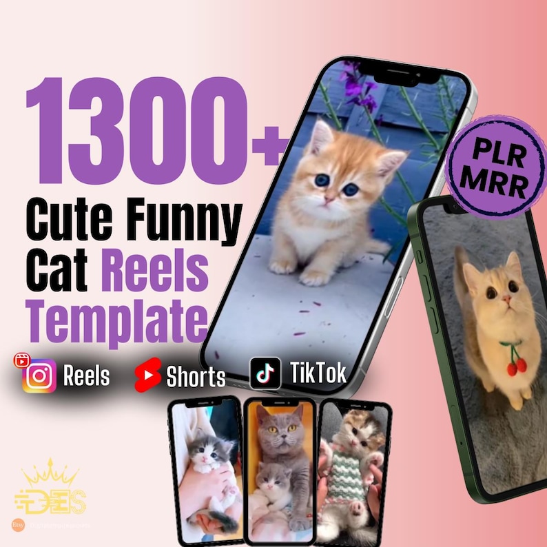 1300+ Cute Cat Video reels Template, kitten reels Template, cat instagram