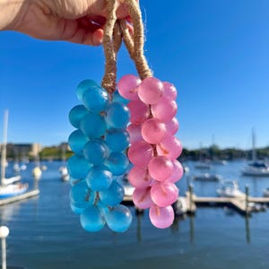 Grape Soap on a Rope – Handmade Blue & Pink Fruit Soap, Fun Bath and Shower Gift